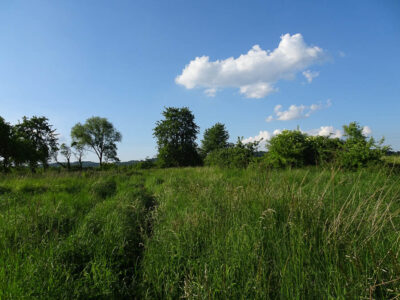 Binowo działka blisko jeziora, 1962 m2, MPZP
