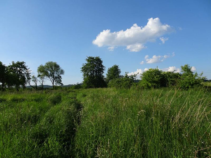 Binowo działka blisko jeziora, 1962 m2, MPZP