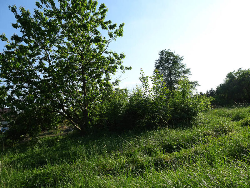 Binowo działka blisko jeziora, 1962 m2, MPZP