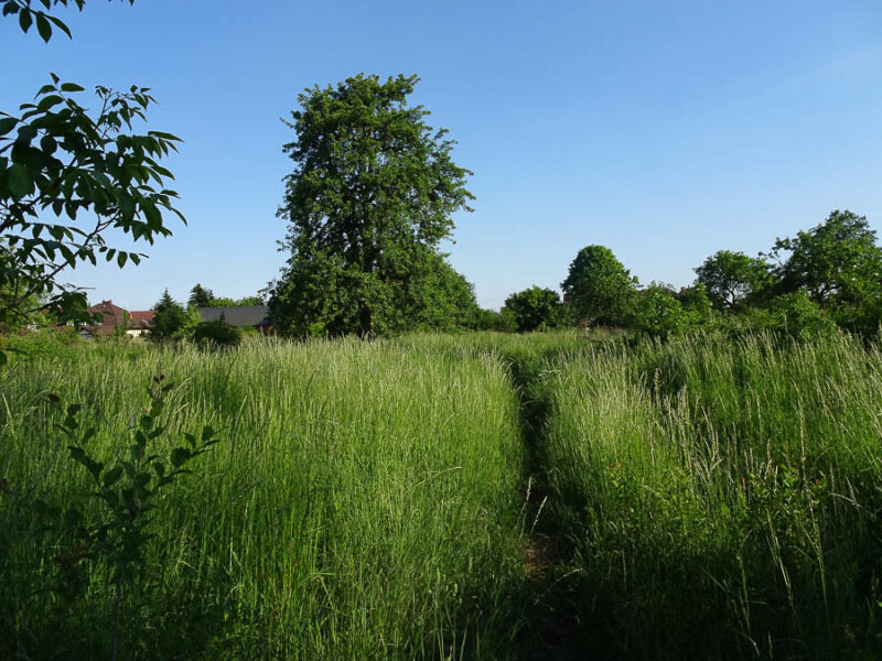 Binowo działka blisko jeziora, 1962 m2, MPZP