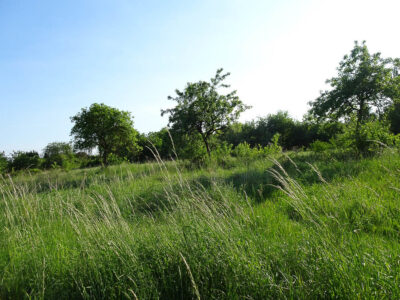Binowo działka blisko jeziora, 1962 m2, MPZP