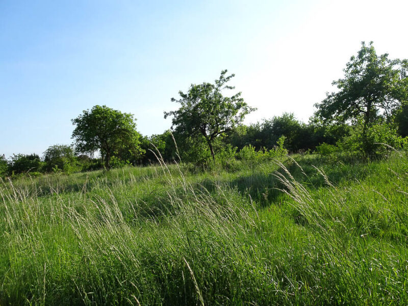 Binowo działka blisko jeziora, 1962 m2, MPZP