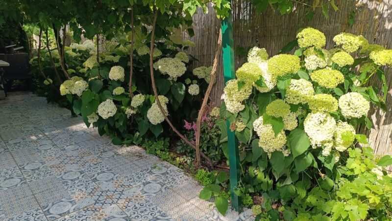 Duża i zadbana działka ROD | 2 domki | plac zabaw