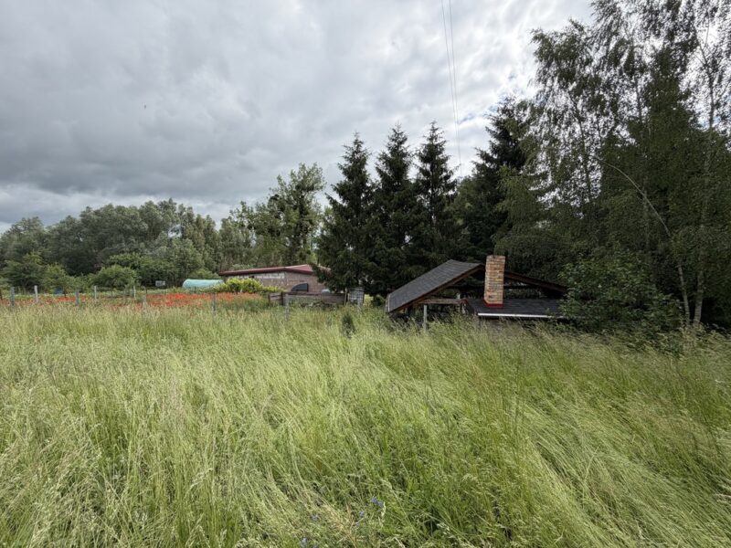 Dom na wsi bez sąsiadów | Działka 2803 m² Brzezin