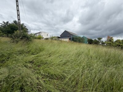 Dom na wsi bez sąsiadów | Działka 2803 m² Brzezin