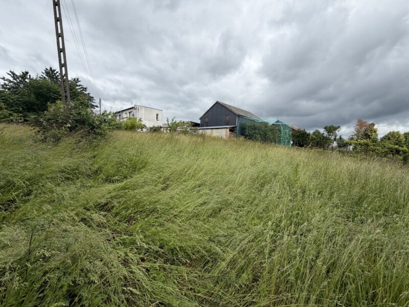 Dom na wsi bez sąsiadów | Działka 2803 m² Brzezin