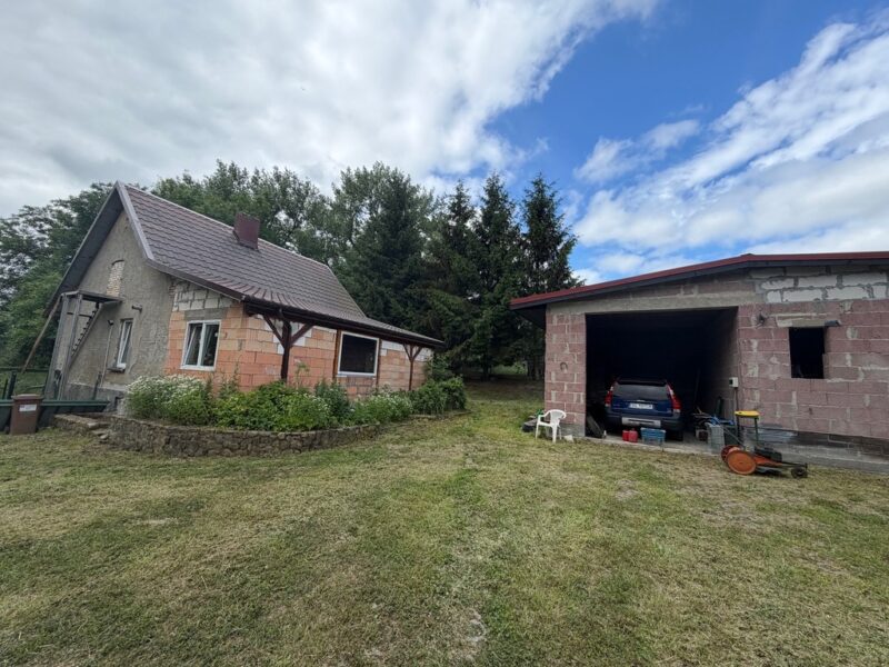 Dom na wsi bez sąsiadów | Działka 2803 m² Brzezin