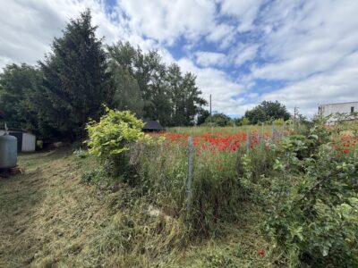 Dom na wsi bez sąsiadów | Działka 2803 m² Brzezin