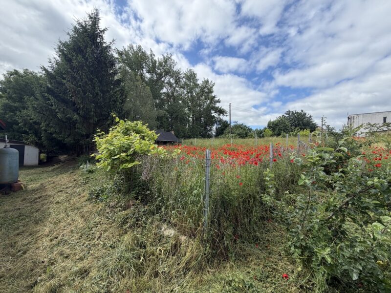 Dom na wsi bez sąsiadów | Działka 2803 m² Brzezin