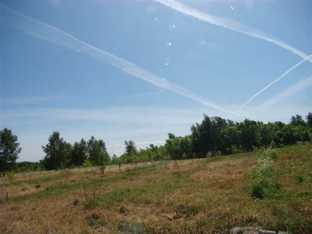 Stara Dąbrowa działka m2 65 zł/m2