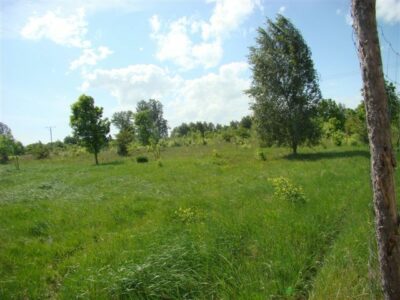 Stara Dąbrowa działka m2 65 zł/m2