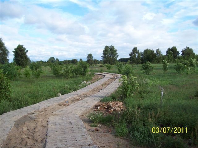 Stara Dąbrowa działka m2 65 zł/m2