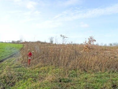 Stara Dąbrowa działka m2 65 zł/m2