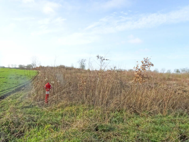 Stara Dąbrowa działka m2 65 zł/m2