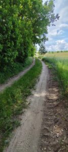 Atrakcyjna inwestycyjna działka pod lasem