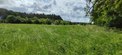 Atrakcyjna inwestycyjna działka pod lasem