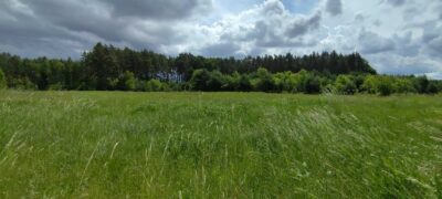 Atrakcyjna inwestycyjna działka pod lasem