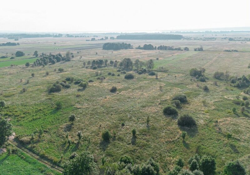 Rurzyca 1212m2,Decyzja w.z. prąd .wodociąg.