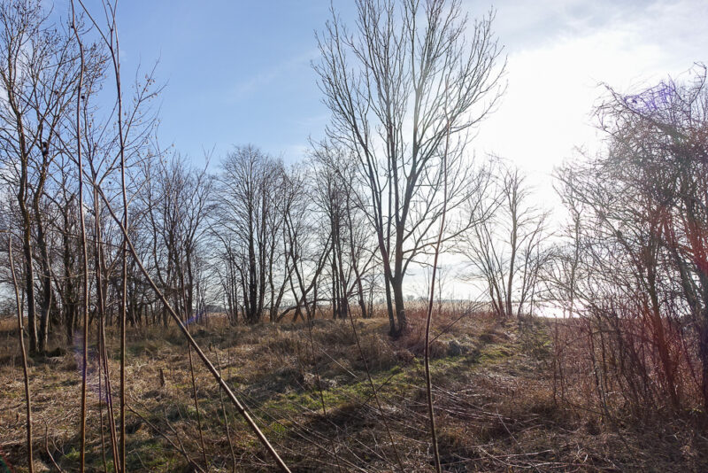 Hala 570 m2, działka 7129 m2, dostęp do wody