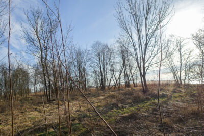 Hala 570 m2, działka 7129 m2, dostęp do wody