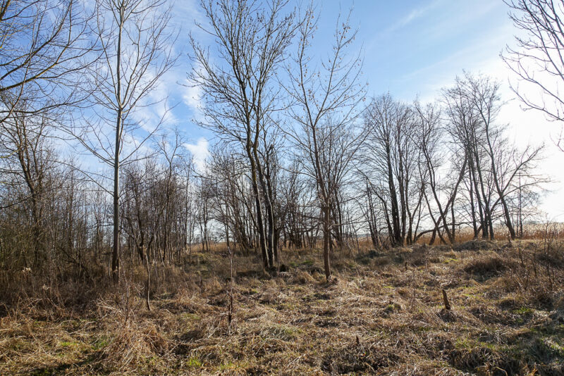 Hala 570 m2, działka 7129 m2, dostęp do wody