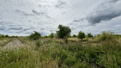 Wołczkowo | 805 m² | MPZP | Badania gruntu |