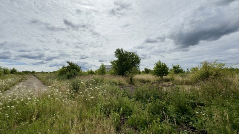 Wołczkowo | 805 m² | MPZP | Badania gruntu |