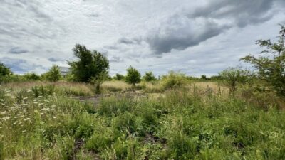 Wołczkowo | 805 m² | MPZP | Badania gruntu |