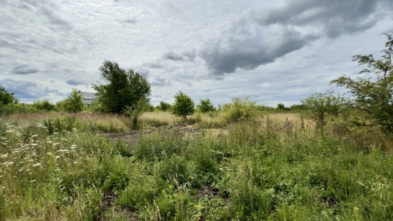 Wołczkowo | 805 m² | MPZP | Badania gruntu |