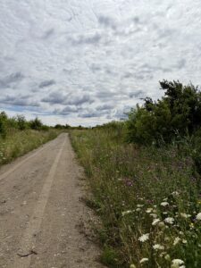 Wołczkowo | 805 m² | MPZP | Badania gruntu |