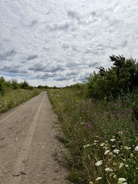 Wołczkowo | 805 m² | MPZP | Badania gruntu |