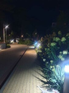 1 linia zabudowy-taras, garaż-top lokalizacja