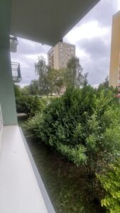 2 rozkładowe pokoje ,parter/4 okol. Książąt.