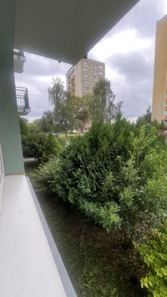 2 rozkładowe pokoje ,parter/4 okol. Książąt.
