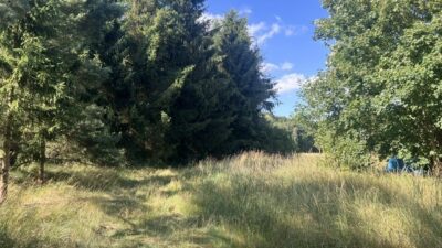 Działka Tanowo, świetna lokalizacja,duży potencjał