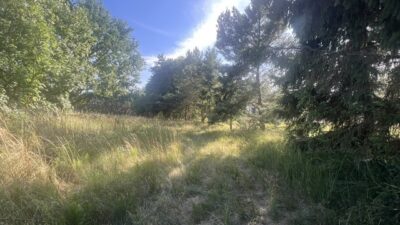 Działka Tanowo, świetna lokalizacja,duży potencjał