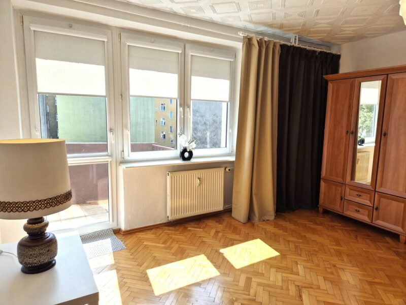 Śródmieście - duża kawalerka z osobną kuchnią