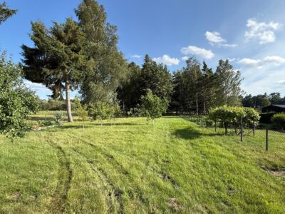 Dom wolnostojący duża działka blisko Polic