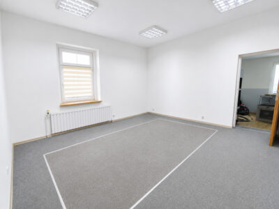 Lokal/mieszkanie do wynajęcia. 90m2