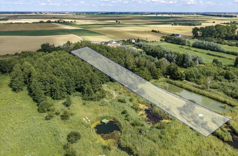 Działka nad jeziorem Miedwie z pomysłem na biznes