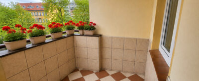 3-pokoje, balkon, garaż przy Manhattanie