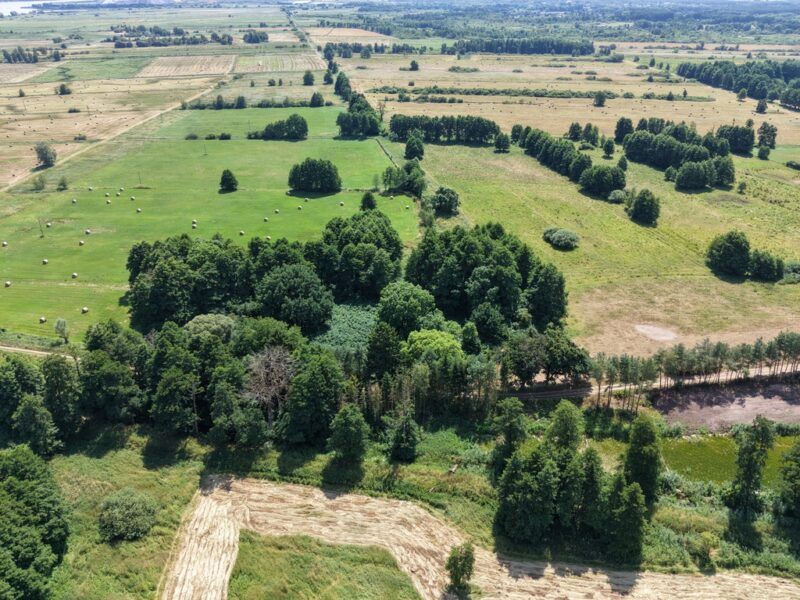 Działka z własnym stawem blisko zalewu