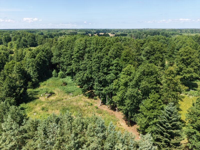 Działka z własnym stawem blisko zalewu