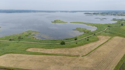 Działka w Lubczynie