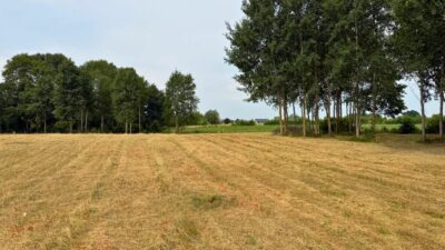 Działka z wydanymi WZ, 1150 m2