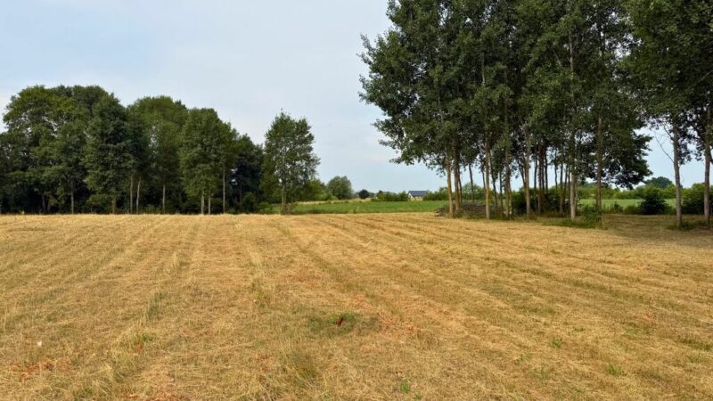 Działka z wydanymi WZ, 1150 m2