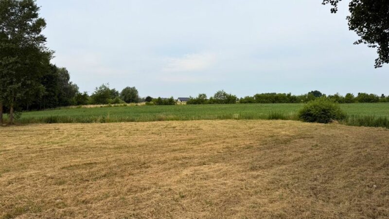 Działka z wydanymi WZ, 1150 m2