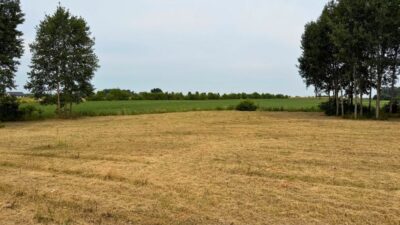 Działka z wydanymi WZ, 1150 m2