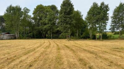Działka z wydanymi WZ, 1250 m2