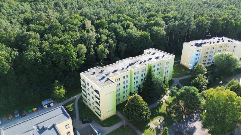 2 pokoje z widokiem na las